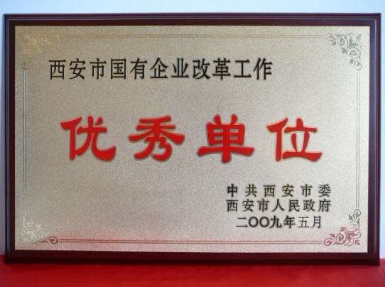 2009年5月，被西安市委、市当驹炖为西安市国企业鼎新工作优良单元