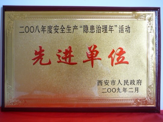 2009年2月，被西安市人民当驹炖为2008年度安全出产“隐患治理年”活动先进单元