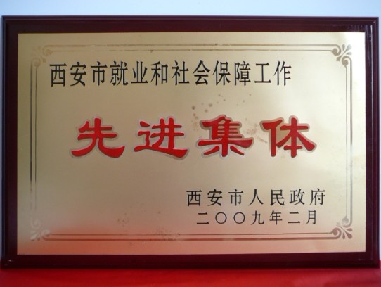 2009年2月，被西安市当驹炖为西安市就业和社会保险工作先进集体