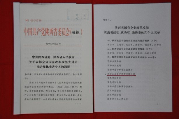 2009年2月，被陕西省委、省敌灾授予陕西省国有企业鼎新攻坚先进集体