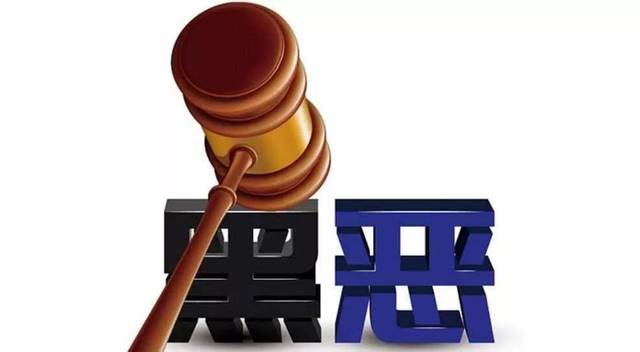 扫黑除恶 ｜萧仲文：孙幼果被执行死刑，正义终于战胜了邪恶